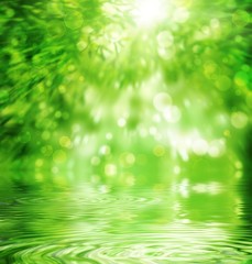 Fototapeta premium Abstract Bamboo Forest.
