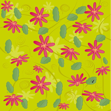 composition passiflores passiflora
