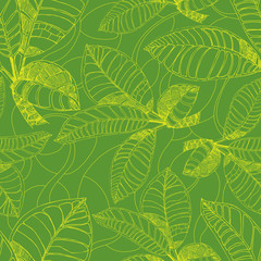 Fototapeta na wymiar Pattern with freehand coffee leafs