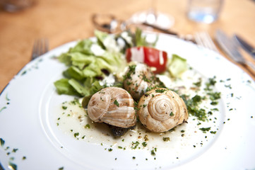 Snail Cuisine