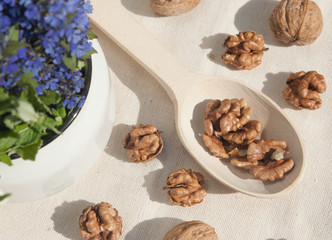 Nuts and nutcracker on a table
