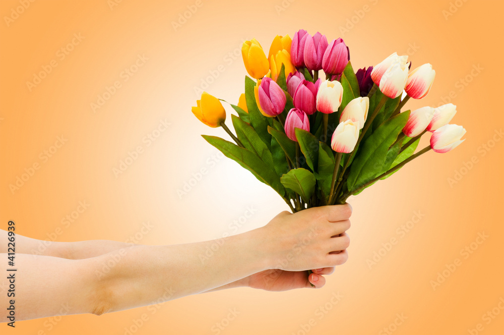 Wall mural Hand with tulips on gradient