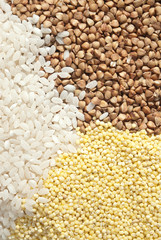 Organic grains
