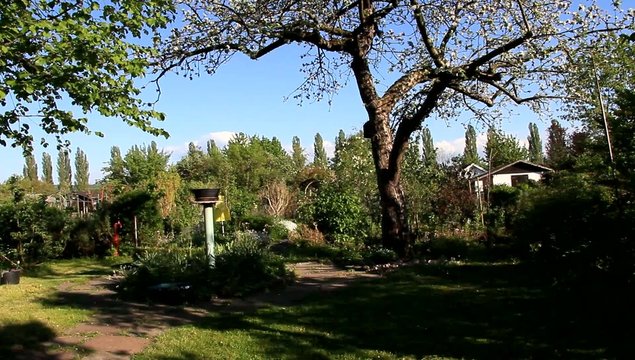 Garten , Park im Fr&uuml;hling,Video HD