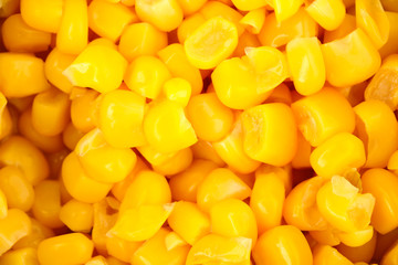 Tasty corn close-up