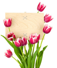 Beautiful Tulips and Empty Sign for message / wooden panel / iso