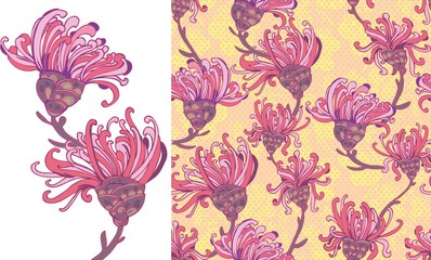 розовый узор с цветами хризантемами