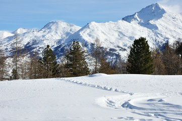 Fototapeta na wymiar Alpes du sud 1