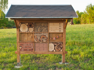 Insektenwand links