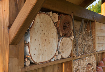 Insektenwand Detail