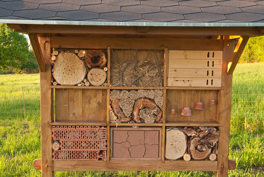 Insektenhotel nah