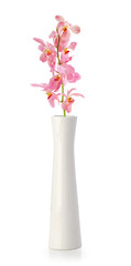 Pink Orchid flower in white vase