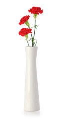 Three carnation flowers in white vase