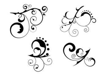 Floral abstract patterns