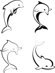 Silhouettes of the dolphins