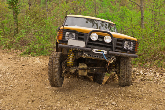 jeep giallo nel bosco