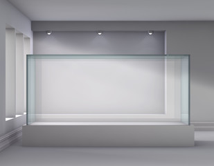 3d glass showcase and niche with spotlights for exhibit in the g
