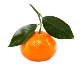 Mandarine