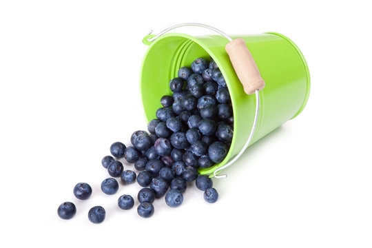 Heidelbeeren