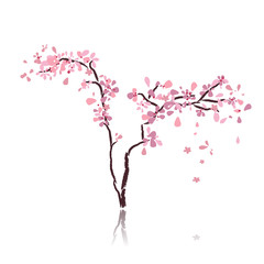 Fototapeta premium cherry tree