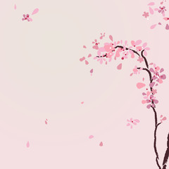 Mountain cherry tree