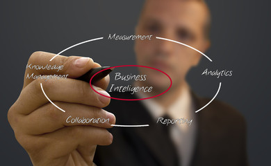 Business Inteligence