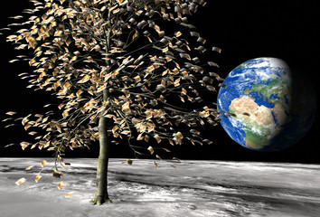 50 euro money tree on the moon