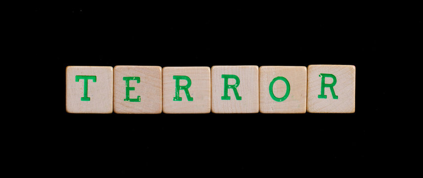 Letters on wooden blocks (terror)