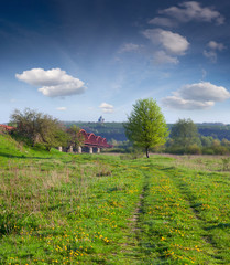 Fototapeta na wymiar Spring landscape near the river