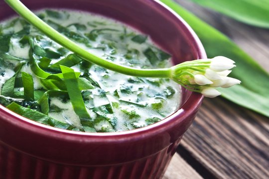 B&auml;rlauch - Kr&auml;uter - Suppe
