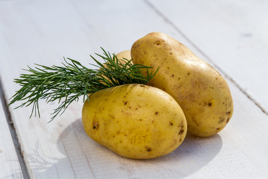 Fresh potatoes and dill on the white board