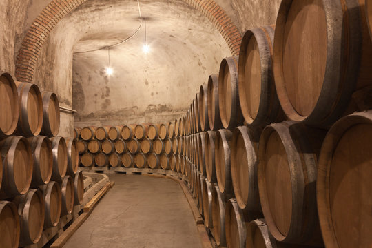 Barriles De Vino En La Bodega