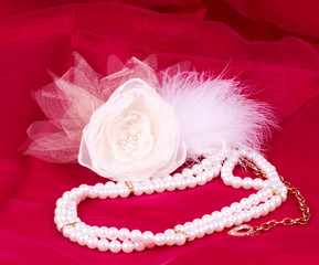 The beautiful bridal rose on red background
