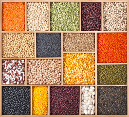 Different beans, peas, lentils and soy