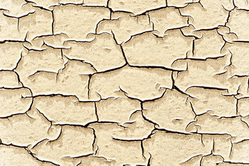 Paint peeling off of a wall