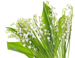 Sheer curtains Lily of the valley Lily of the Valley