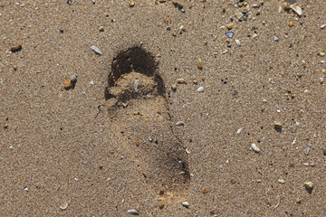 One lonely footprint on sand