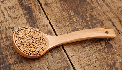 Wheat in wooden spoon  on wooden table