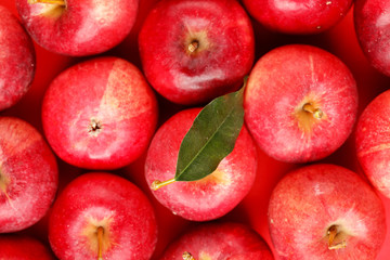 background with fresh red apples