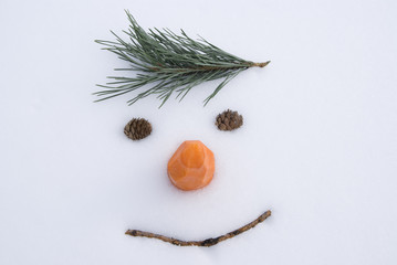 amusing face on snow