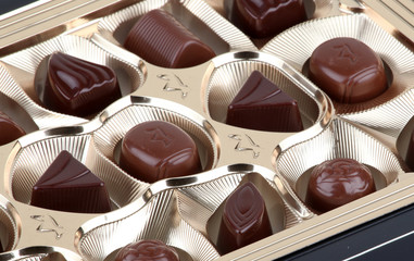 Chocolate gathering