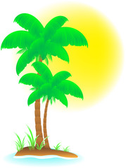 isolated tropical background with palm, beach and sun