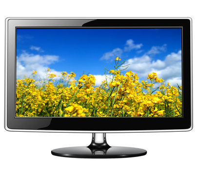 tv monitor isolated.
