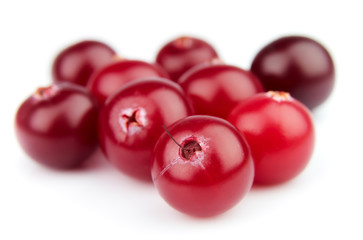 Ripe cranberry