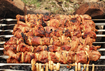 cooking shashlik on fire