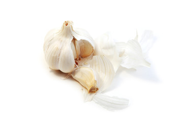 Allium sativum - garlic