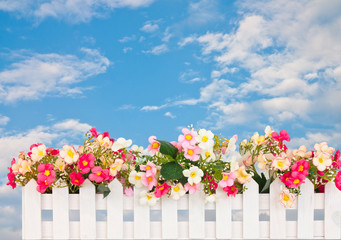 Flower fence on sky background
