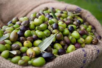 Deurstickers olive italiane © marcophoto81