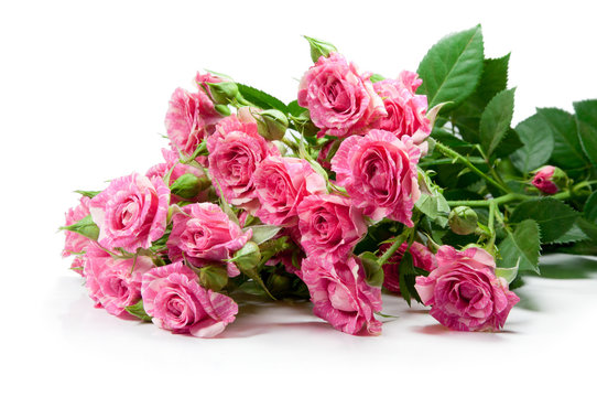 Bouquet from gentle pink color of roses