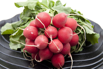 Frische Radieschen